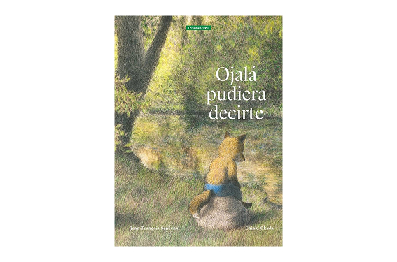 Traductor de documentos Amaia Zorriqueta | ojalá pudiera decirte